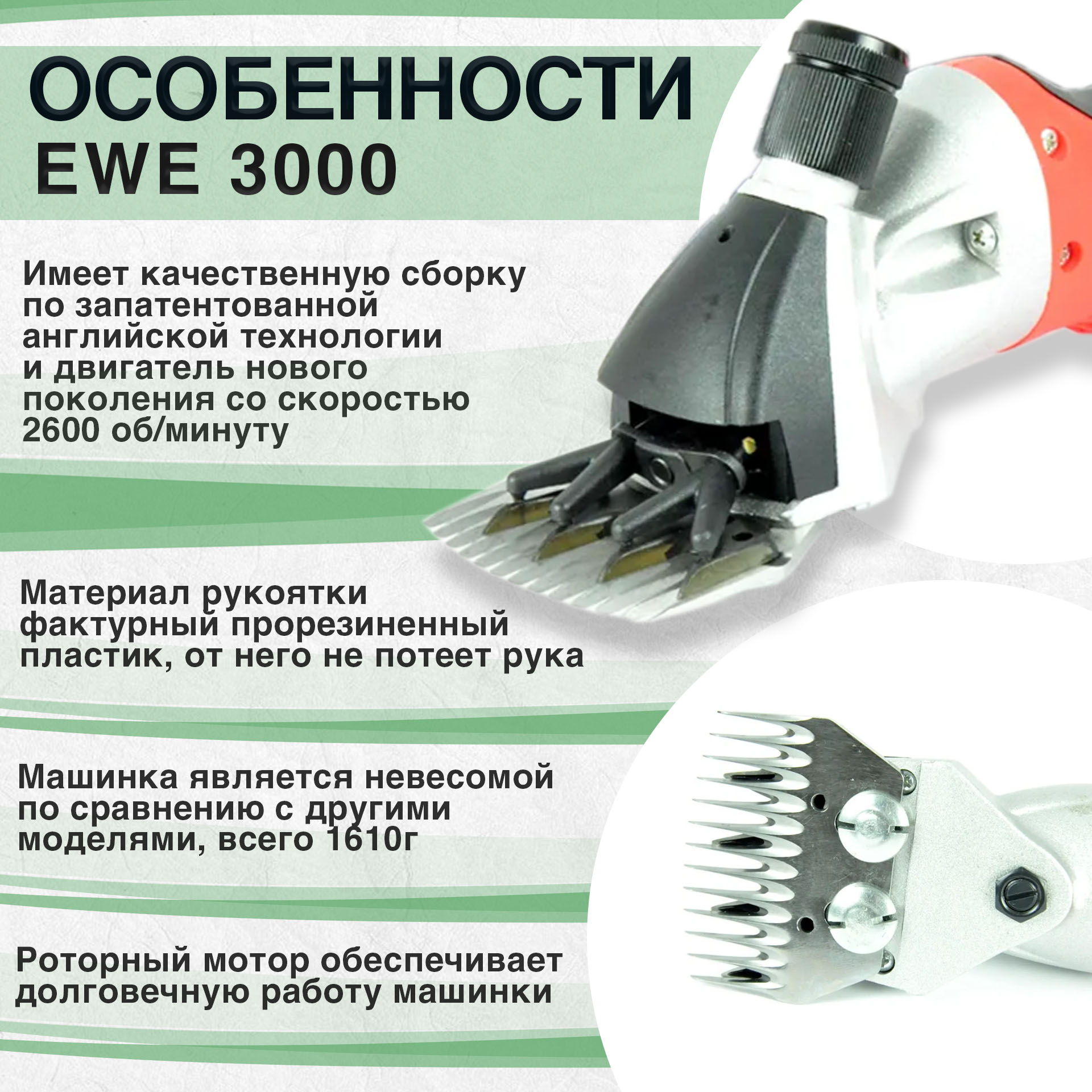 Машинка для стрижки овец / баранов EWE 3000 (6 скоростей)